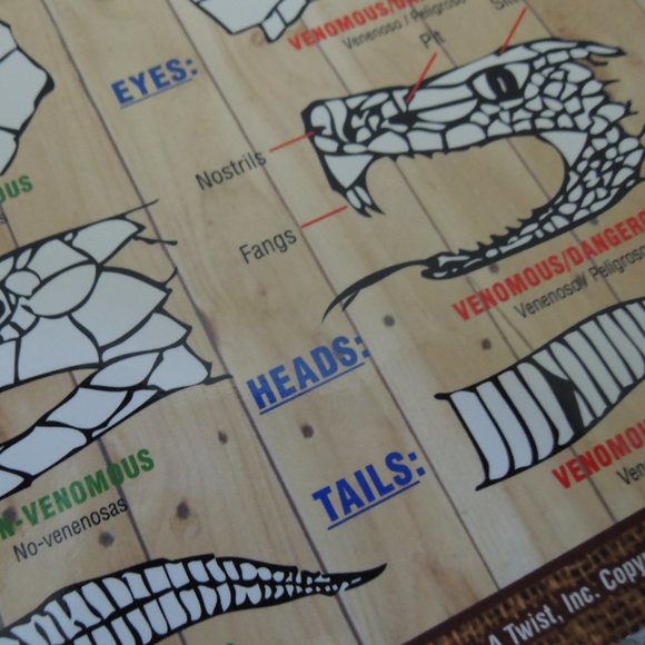 Snake Identification Guide Snake I. D. Chart - Do and Don't Do Herpetology Guide - Picture 6 of 6
